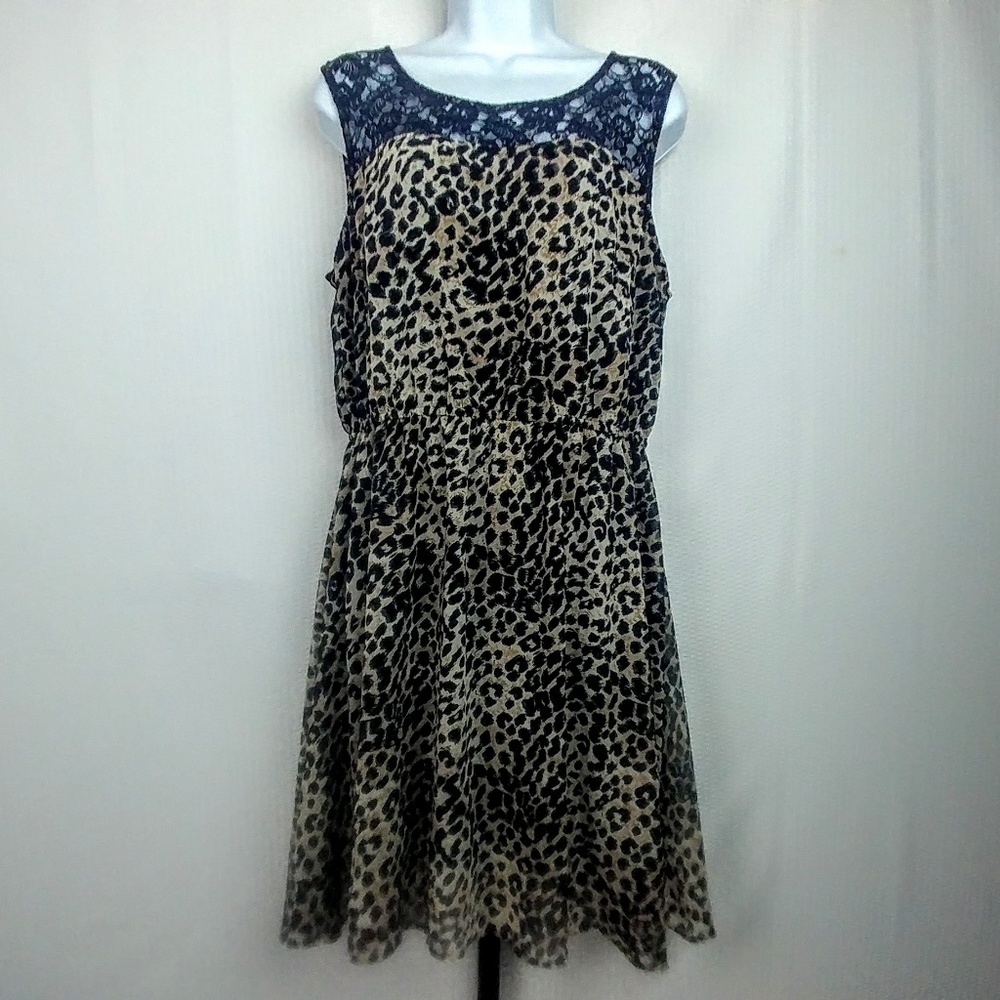 Speed Control New York Cheetah Print Lace Dress